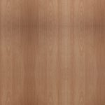 PELIKANO HAYACATEDRAL RH